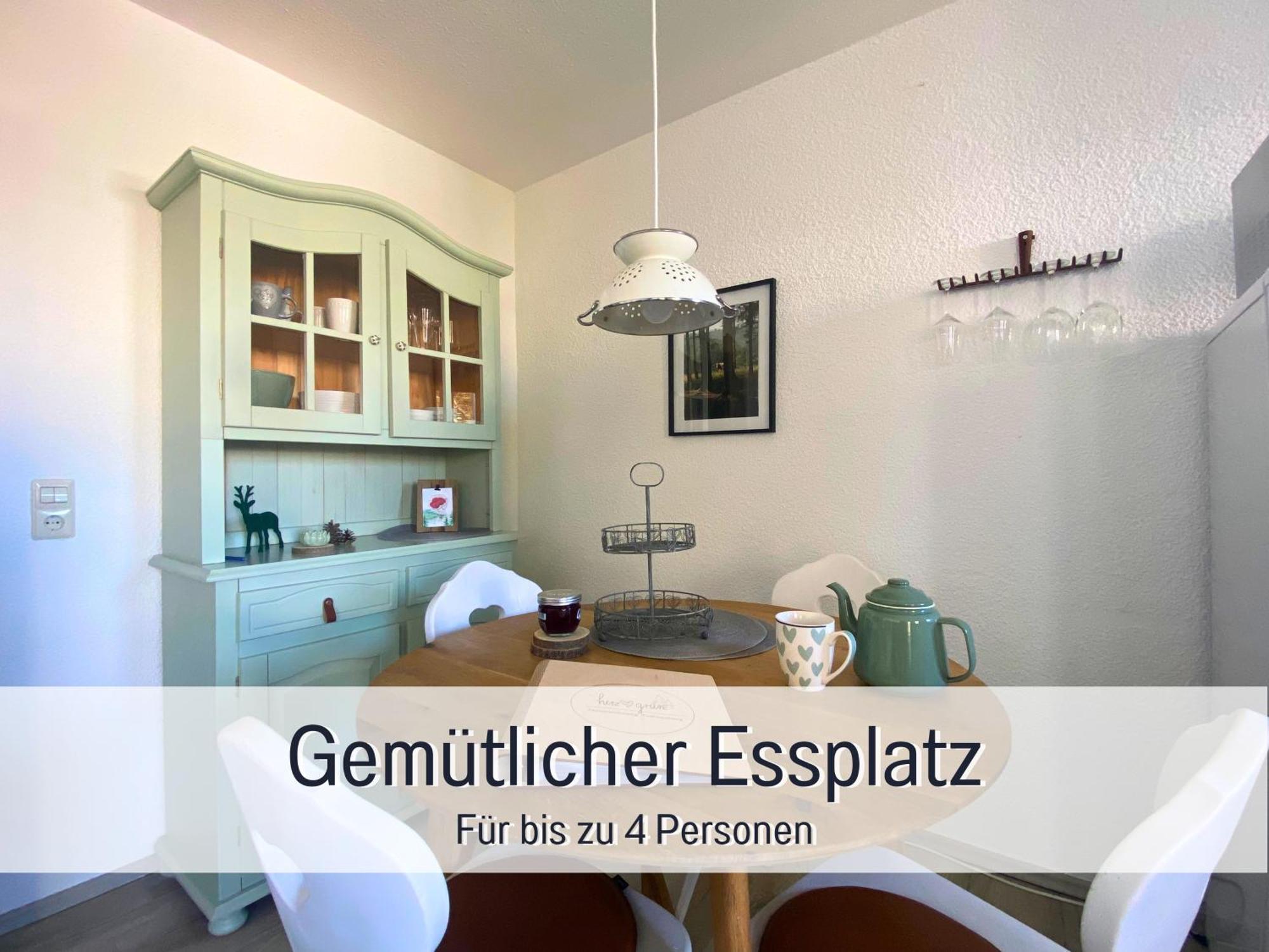 Herzgruen Direkt An Traumhaften Wanderwegen Balkon Mit Toller Aussicht Sauna Im Haus Tiefgarage E-Ladestation Todtnauberg Exterior photo