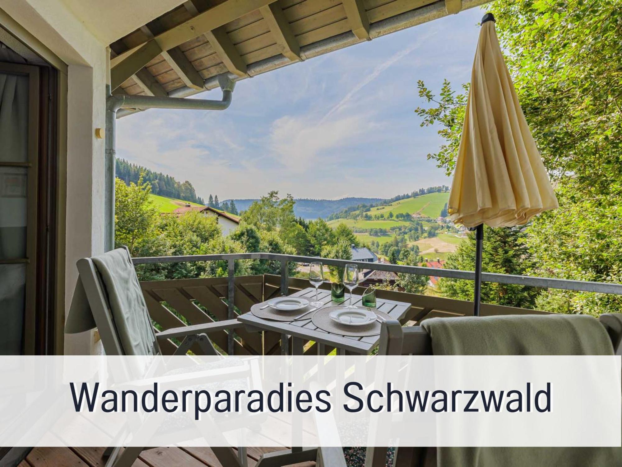 Herzgruen Direkt An Traumhaften Wanderwegen Balkon Mit Toller Aussicht Sauna Im Haus Tiefgarage E-Ladestation Todtnauberg Exterior photo